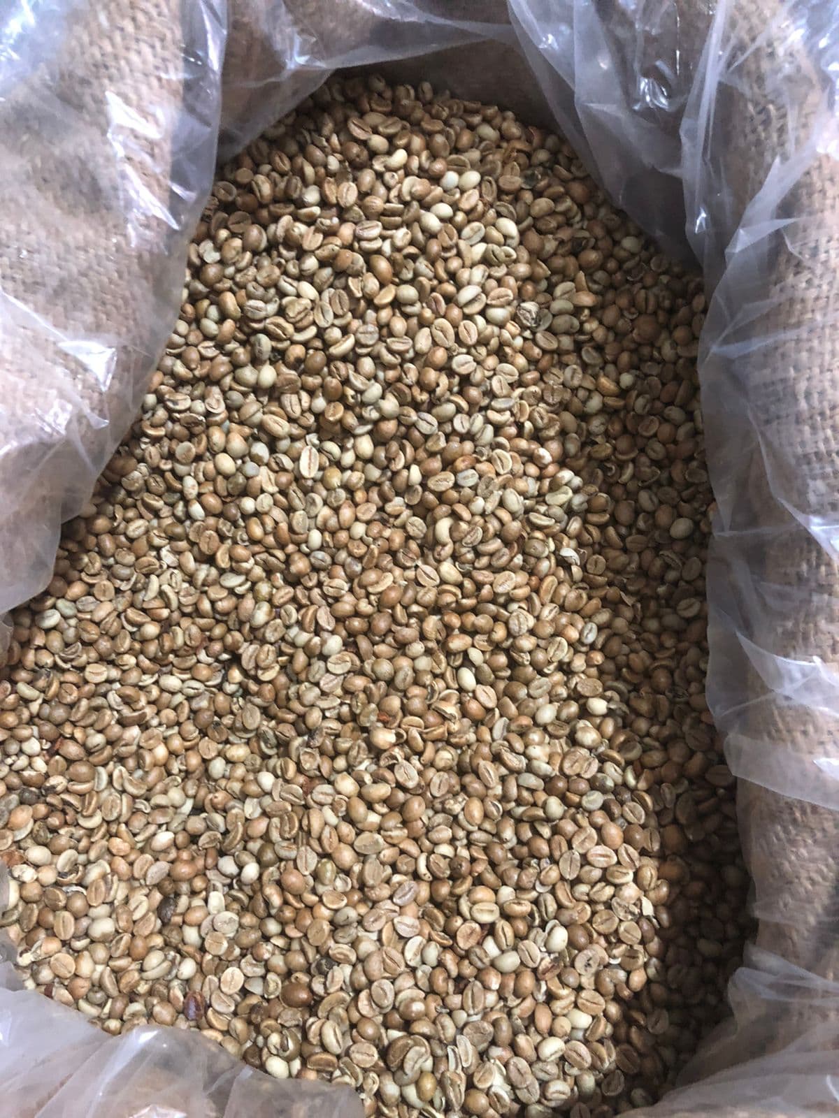 Café de especialidad en Oaxaca