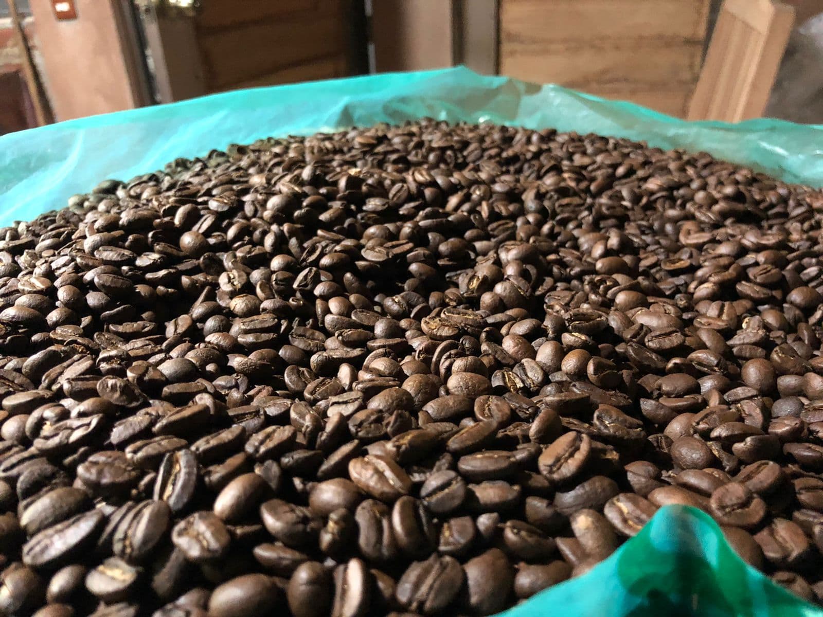 Cosecha de café
